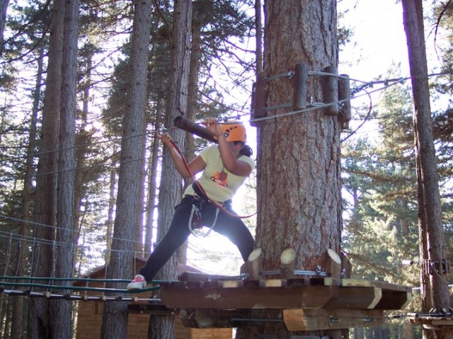  Adventure parks